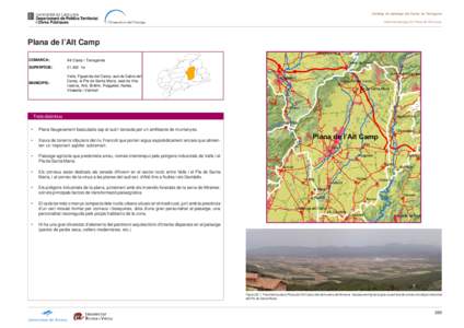 Catàleg de paisatge del Camp de Tarragona Unitat de paisatge 22: Plana de l’Alt Camp