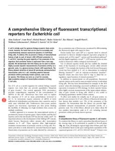 ARTICLES  © 2006 Nature Publishing Group http://www.nature.com/naturemethods A comprehensive library of fluorescent transcriptional reporters for Escherichia coli