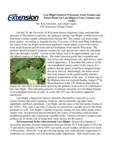 Late Blight Found in Wisconsin: Scout Tomato and Potato Plants for Late Blight in Your Gardens and Fields By: Ken Schroeder, Agriculture Agent UW-Extension, Portage County On July 29, the University of Wisconsin disease 