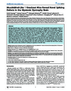 Muscleblind-Like 1 Knockout Mice Reveal Novel Splicing Defects in the Myotonic Dystrophy Brain Koichi Suenaga1., Kuang-Yung Lee2,3., Masayuki Nakamori4¤a, Yoshiki Tatsumi1, Masanori P. Takahashi4, Harutoshi Fujimura5, K