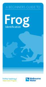 A BEGINNERS GUIDE TO  Frog Identification  Contents