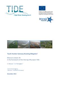 ‘South Humber Gateway Roosting Mitigation’ Measure analysis 36 in the framework of the Interreg IVB project TIDE S. Manson 1, N. Pinnington 2  1