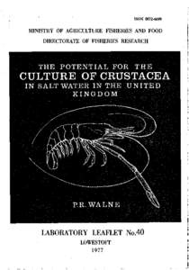 The potential for the culture of crustacea in salt water in the United Kingdom