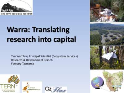 Warra: Translating research into capital Tim Wardlaw, Principal Scientist (Ecosystem Services) Research & Development Branch Forestry Tasmania