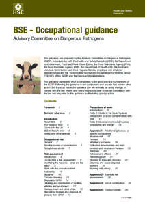 BSE - Occupational guidance (WEB22)