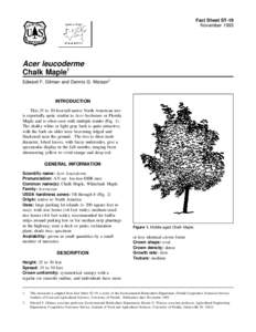 Fact Sheet ST-19 November 1993 Acer leucoderme Chalk Maple1 Edward F. Gilman and Dennis G. Watson2
