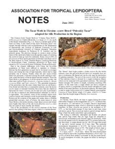 ASSOCIATION  FOR  TROPICAL  LEPIDOPTERA     NOTES     