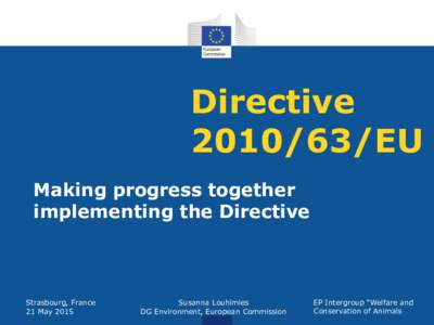 DirectiveEU Making progress together implementing the Directive  Strasbourg, France
