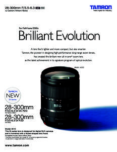 28-300mm F[removed]for Canon / Nikon / Sony  Brilliant Evolution