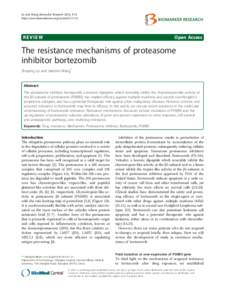 An upper limit for macromolecular crowding effects