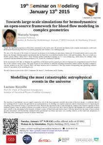 19th Seminar on Modeling January 13th 2015 Towards large-scale simulations for hemodynamics: an open-source framework for blood flow modeling in complex geometries Marcela Szopos