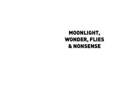 MOONLIGHT, WONDER, FLIES & NONSENSE My name is Mina and I love the night. Anything seems possible at night when the rest of the world