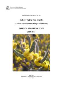 Velvety Spiral Pod Wattle Interim Recovery Plan No. 286