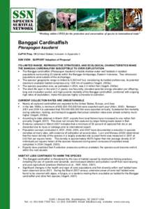 Banggai / Sulawesi / Apogon / Coral reef / Fish / Apogonidae / Banggai cardinalfish