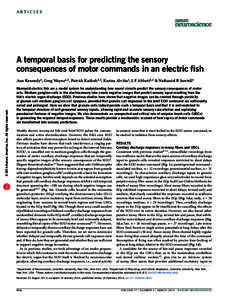 a r t ic l e s  A temporal basis for predicting the sensory consequences of motor commands in an electric fish  npg