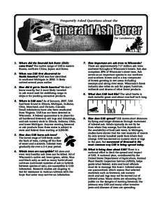 Frequently Asked Questiions about the Emerald Ash Borer