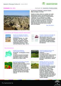 Boletín Paisaje Cultural - Julio 2013 PAISAJE DEL MES PAISAJE DE GUADIX-PURULLENA Demarcación Paisajística: Hoyas de Guadix, Baza, La Sagra y Los Vélez