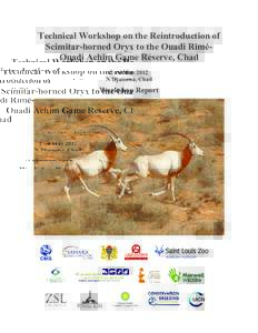 Technical workshop on the reintroduction of scimitar-horned oryx to the Ouadi Rime-Ouadi Achim Game Reserve
