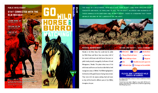 Zoology / Donkeys / Burro / Sheldon National Wildlife Refuge / Horse / Pryor Mountains Wild Horse Range / Mustang horse / Equidae / Equus / Feral horses