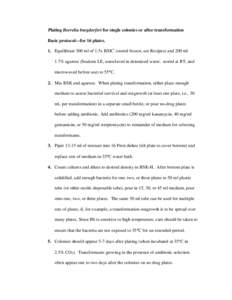Plating Borellia burgdorferi for single colonies or after transformation
