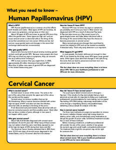 Human papillomavirus / Cervical cancer / Cervical intraepithelial neoplasia / Genital wart / Wart / Pap test / Colposcopy / Cervix / Sexually transmitted disease / Papillomavirus / Medicine / Oncology