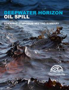 Environment / United States / Marcia McNutt / Flow Rate Technical Group / Jane Lubchenco / Oil spill / Gulf of Mexico / Deepwater Horizon / RV Pelican / Deepwater Horizon oil spill / BP / Geography of the United States