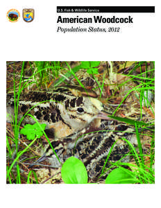 U.S. Fish & Wildlife Service  American Woodcock Population Status, 2012  Suggested report citation: