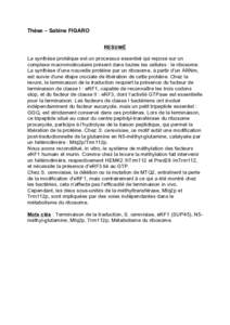 Thèse – Sabine FIGARO RESUMÉ La synthèse protéique est un processus essentiel qui repose sur un complexe macromoléculaire présent dans toutes les cellules : le ribosome. La synthèse d’une nouvelle protéine pa