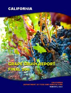 Vitaceae / Dessert wine / Grape / Sultana / Cardinal / Muscat / Colombard / Olmo grape / Sonoma County wine / Wine / Portuguese wine / Table grapes