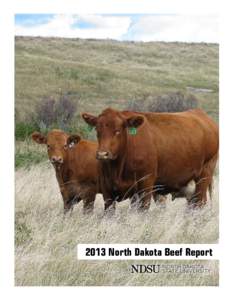 Microsoft Word - Beef Report - Dahlen AI NS Calving and Weaning[removed]NDBR - REVISED.docx