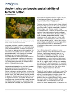 Ancient wisdom boosts sustainability of biotech cotton