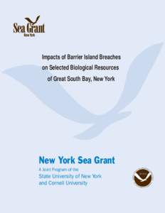 Impacts of Barrier Island Breaches on Selected Biological Resources of Great South Bay, New York AN