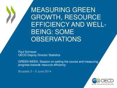 MEASURING GREEN GROWTH, RESOURCE EFFICIENCY AND WELLBEING: SOME OBSERVATIONS Paul Schreyer OECD Deputy Director Statistics