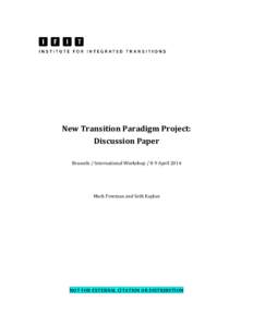 New Transition Paradigm Project: Discussion Paper Brussels / International WorkshopApril 2014 Mark Freeman and Seth Kaplan