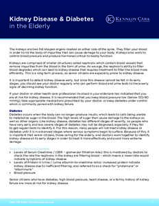 Kidney Disease & Diabetes in the Elderly The kidneys are two fist-shaped organs located on either side of the spine. They filter your blood in order to rid the body of impurities that can cause damage to your body. Kidne