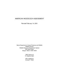 Woodcocks / Ornithology / Eurasian Woodcock / Scolopax / Wading birds / American Woodcock