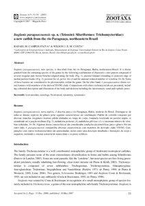 Ituglanis / Vandelliinae / Glanapteryginae / Candiru / Scleronema / Bahia / Trichomycteridae / Fauna of South America / Trichomycterinae