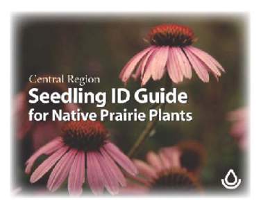 ABOUT THE GUIDE The goal of this guide is to help identify native plants at various stages of growth. Color photos illustrate seed, seedling, juvenile, and flowering stages, in addition to a distinguishing characteristi