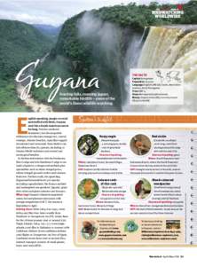 Geography of South America / Wowetta / Rupununi / Surama / Iwokrama Forest / Dadanawa Ranch / White-winged Potoo / Geography of Guyana / Americas / Guyana