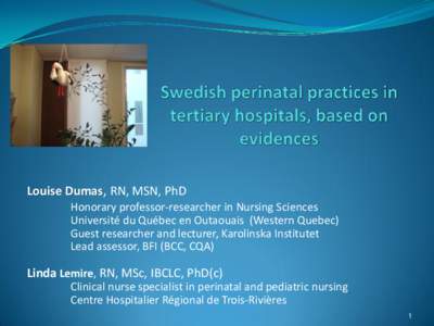 Teaching hospitals / Midwifery / Karolinska Institutet / Uppsala University Hospital / Nursing in the United Kingdom / Obstetrical nursing / Nursing / Karolinska University Hospital / Health / Medicine / Obstetrics