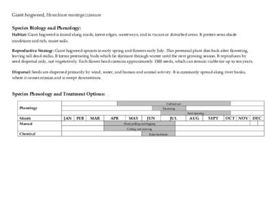Giant hogweed, Heracleum mantegazzianum Species Biology and Phenology: Habitat: Giant hogweed is found along roads, forest edges, waterways, and in vacant or disturbed areas. It prefers semi-shade conditions and rich, mo