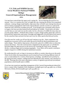 Wetland / Ecology / Environment / Massachusetts / Bay Circuit Trail / Great Meadows National Wildlife Refuge