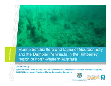 Marine benthic flora and fauna of Gourdon Bay and the Dampier Peninsula in the Kimberley region of north-western Australia John Keesing Stream Leader, Sustainable Coastal Environments , Wealth from Oceans Research Flagsh