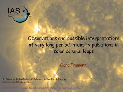 Observations and possible interpretations of very long period intensity pulsations in solar coronal loops ! !