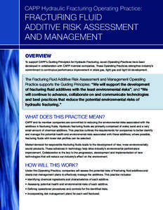 CAPP Hydraulic Fracturing Operating Practice:  FRACTURING FLUID ADDITIVE RISK ASSESSMENT AND MANAGEMENT OVERVIEW