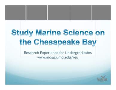 Research Experience for Undergraduates www.mdsg.umd.edu/reu   Biology   Chemistry   Ecology