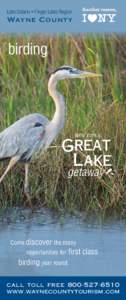 Lake Ontario • Finger Lakes Region  Wayne County birding