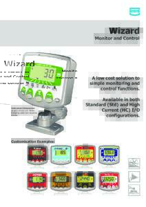Wizard Monitor and Control A low cost solution to simple monitoring and control functions.