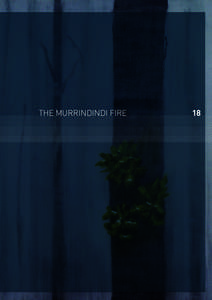 THE MURRINDINDI FIRE  18 Volume I: The Fires and the Fire-Related Deaths