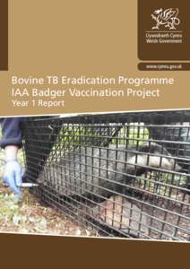 Bovine TB Eradication Programme IAA Badger Vaccination Project Year 1 Report Digital ISBN[removed]5 © Crown copyright 2013